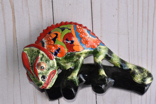 Charismatic Collection of Wall Chameleons in Talavera
