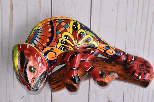 Charismatic Collection of Wall Chameleons in Talavera