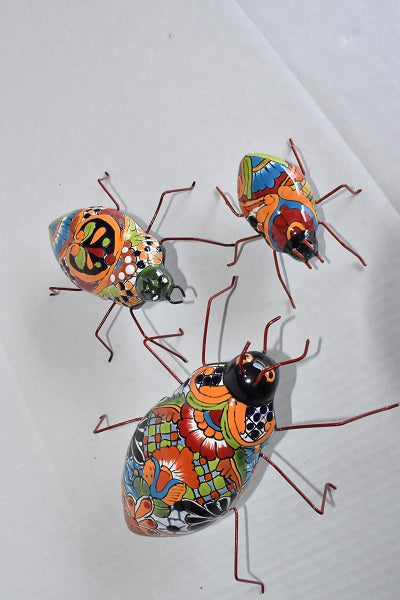 COLLECTION TALAVERA BEETLES