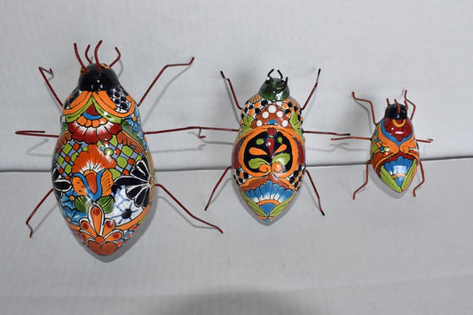 COLLECTION TALAVERA BEETLES