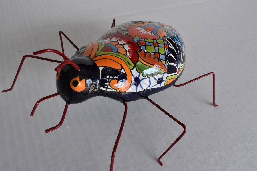 COLLECTION TALAVERA BEETLES