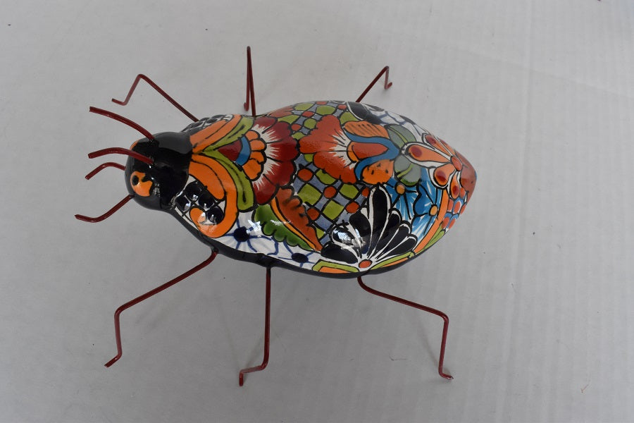 COLLECTION TALAVERA BEETLES