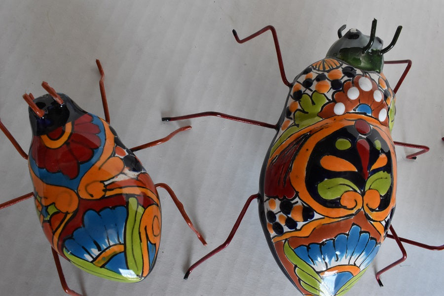 COLLECTION TALAVERA BEETLES