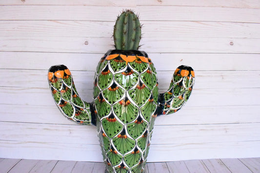 Long Cactus Beautiful Collection