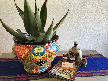 SMALL TALAVERA SHORT CUPS