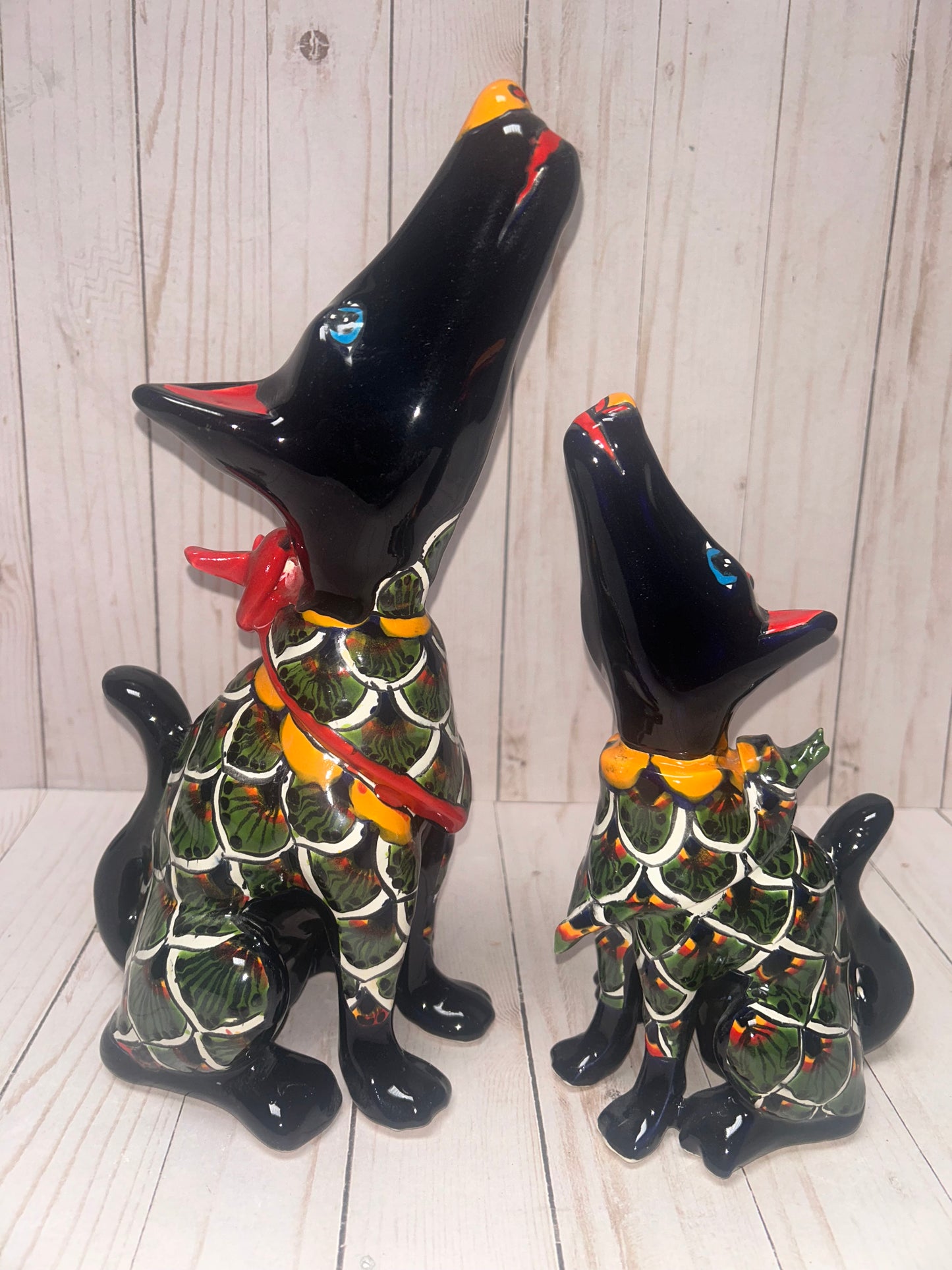 COLLECTION TALAVERA COYOTES