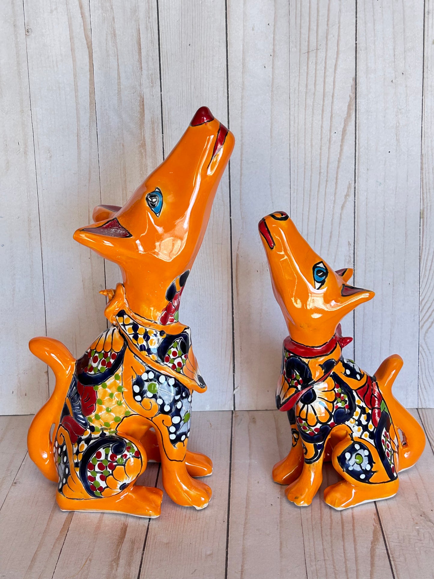 COLLECTION TALAVERA COYOTES