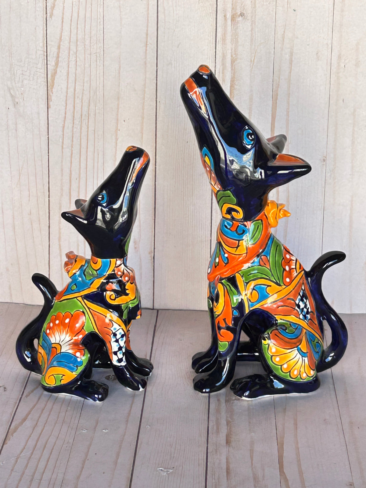 COLLECTION TALAVERA COYOTES