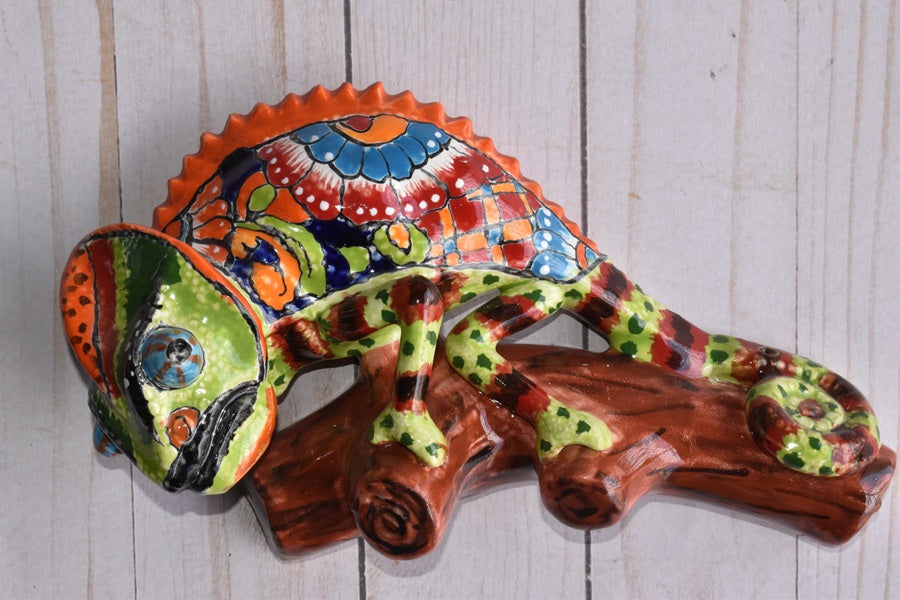 Charismatic Collection of Wall Chameleons in Talavera