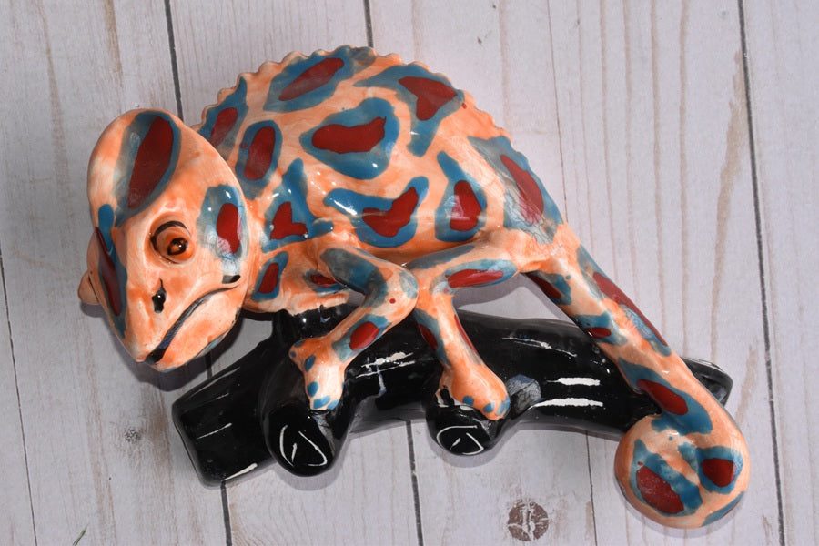 Charismatic Collection of Wall Chameleons in Talavera
