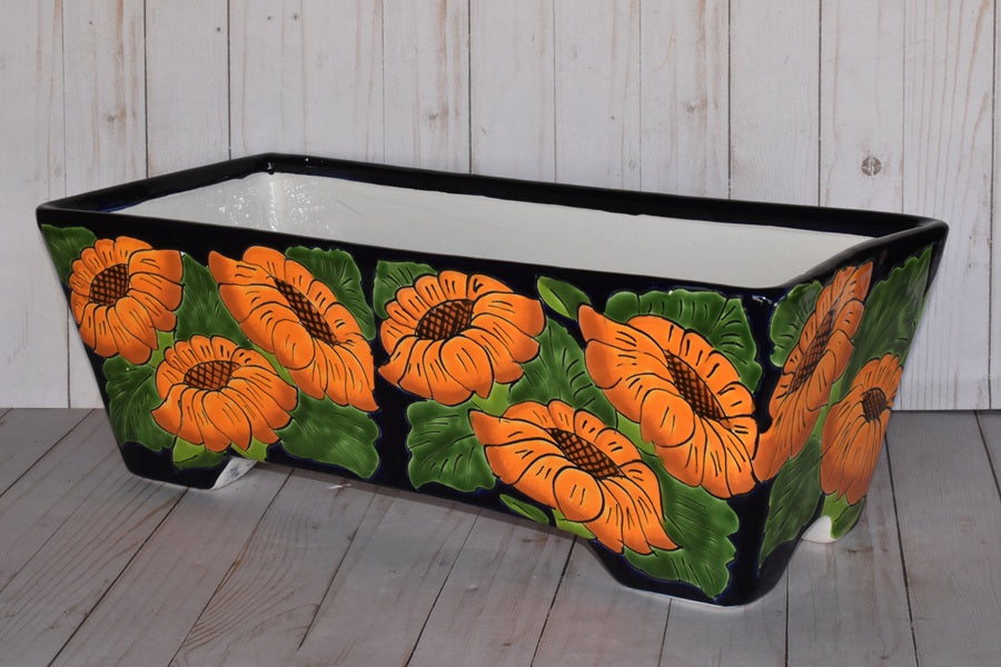 Rectangular Window Talavera Boxes
