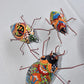 COLLECTION TALAVERA BEETLES