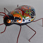 COLLECTION TALAVERA BEETLES