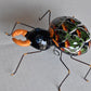 COLLECTION TALAVERA SPIDERS