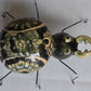 COLLECTION TALAVERA SPIDERS
