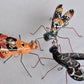 COLLECTION TALAVERA WASPS