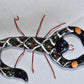 COLLECTION TALAVERA SCORPIONS