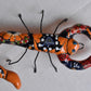 COLLECTION TALAVERA SCORPIONS