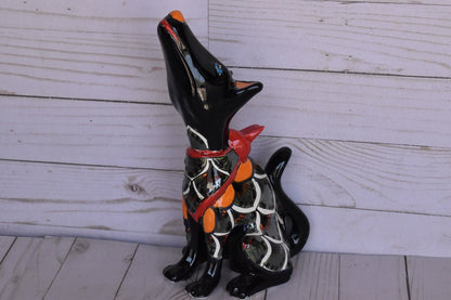 COLLECTION TALAVERA COYOTES