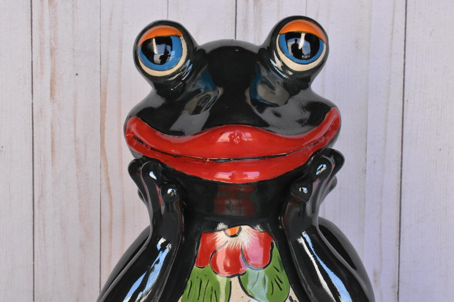 Adorable Talavera Flower Planter Smiling Frog