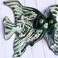 Angelfish- Hancrafted Talavera Ceramic in Green Leaf and Sand White Design