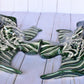 Angelfish- Hancrafted Talavera Ceramic in Green Leaf and Sand White Design