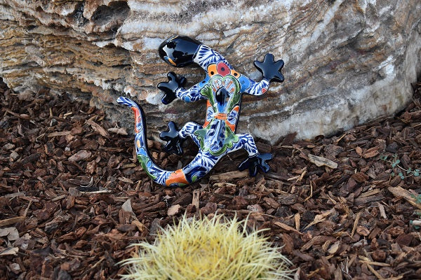 WALL SALAMANDER SPRING