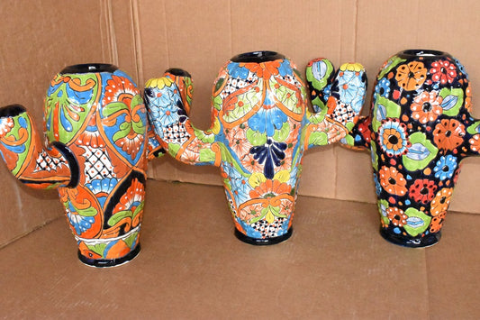 Long Cactus Beautiful Collection