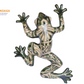 WALL FROG HAND-PAINTED CLASSIC TALAVERA GREEN STYLE