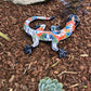 WALL SALAMANDER SPRING