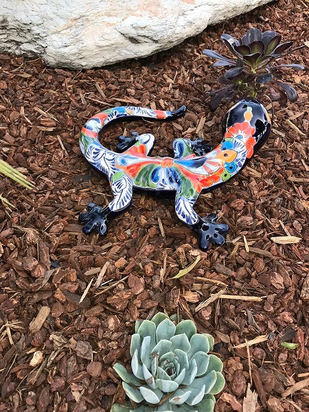 WALL SALAMANDER SPRING