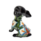 Sitting Calla-lilies Chihuahua Puppy Handmade Mexican Pottery