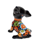 Sitting Flowers Design Chihuahua Puppy Handmade Mexican Pottery