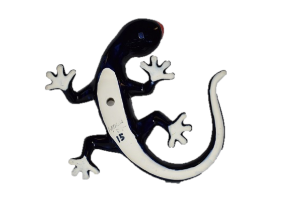 WALL SALAMANDER SPRING