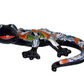 WALL SALAMANDER SPRING